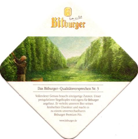 bitburg bit-rp bitburger quali versp 3b (raute185-versprechen 3) 